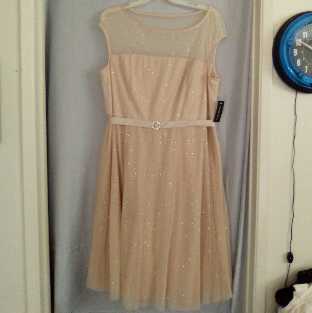 A Beige Dress By Candalite Women's Size 2x.